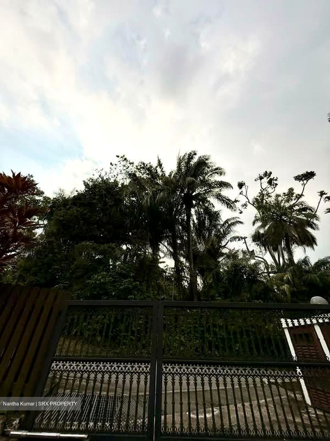 Cluny Park (D10), Detached #568064461